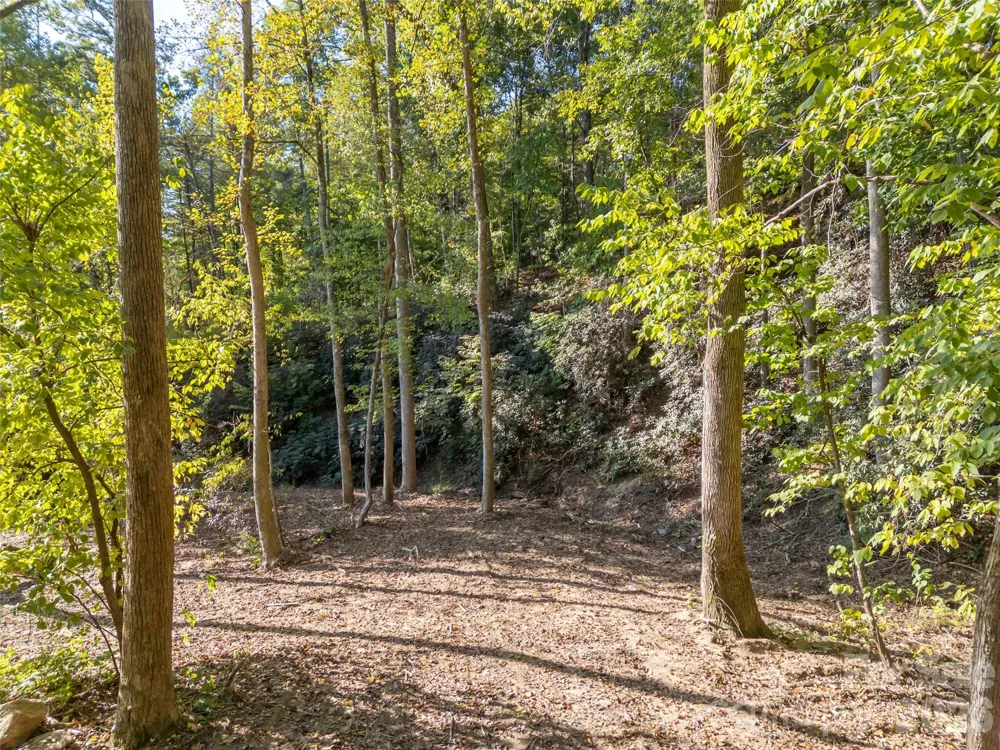 0 Firefly Cove #9 Lake Lure, NC 28746