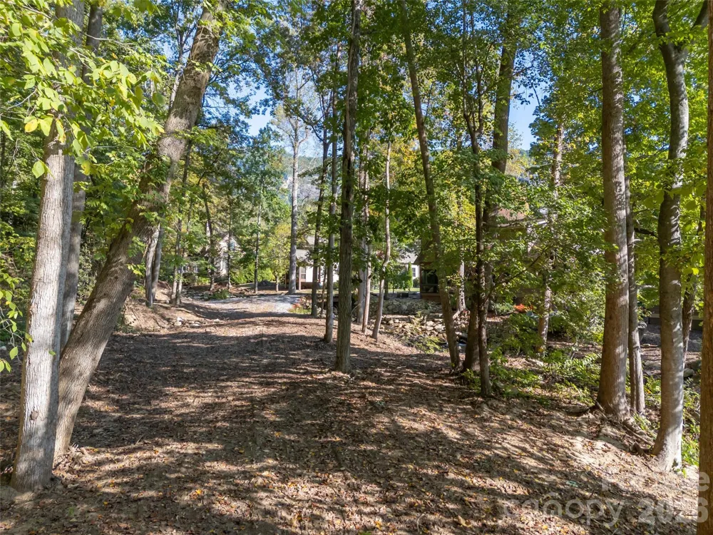 0 Firefly Cove #9 Lake Lure, NC 28746