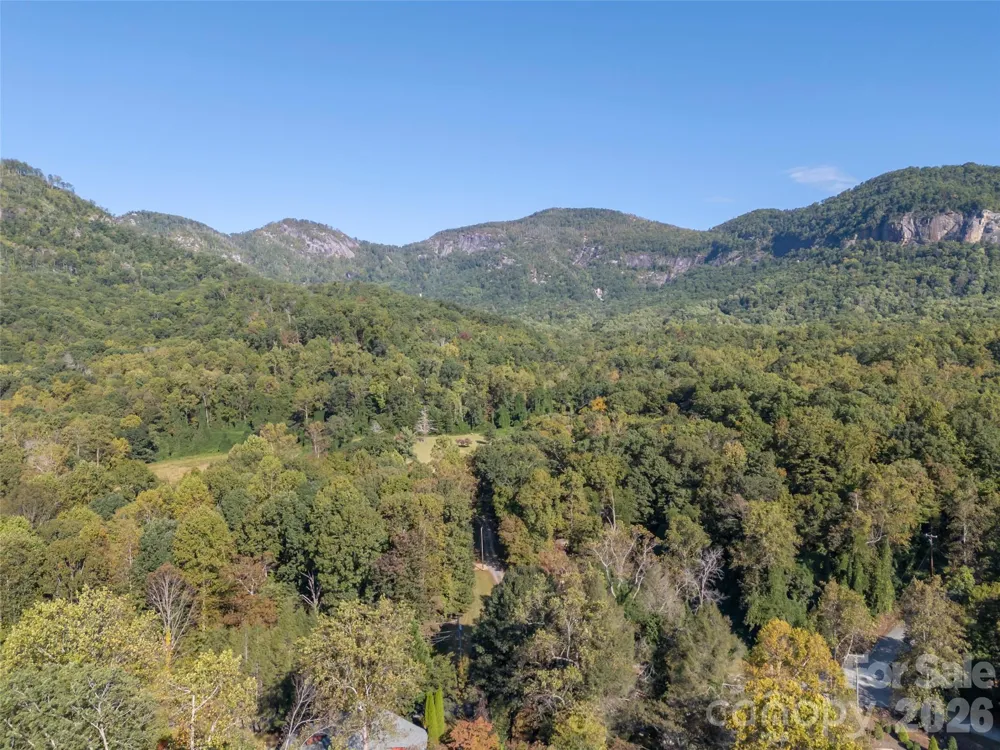 0 Firefly Cove #9 Lake Lure, NC 28746