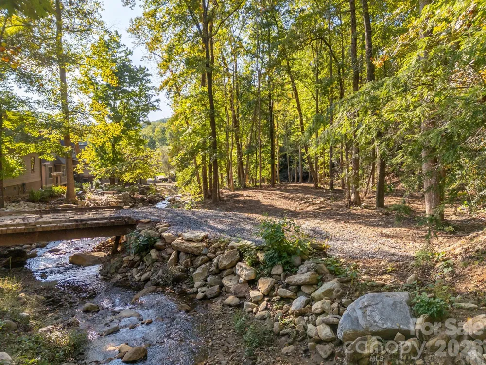 0 Firefly Cove #9 Lake Lure, NC 28746