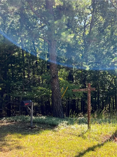 Shadow Ridge Road