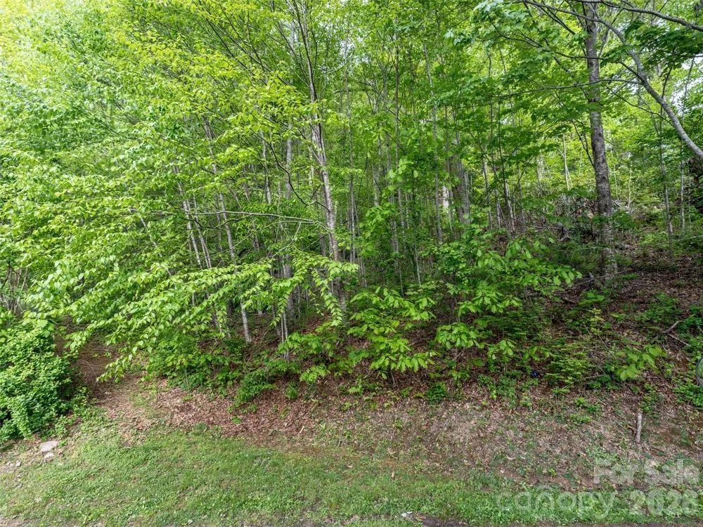 Lot 13 Breckenridge Road Waynesville, NC 28785