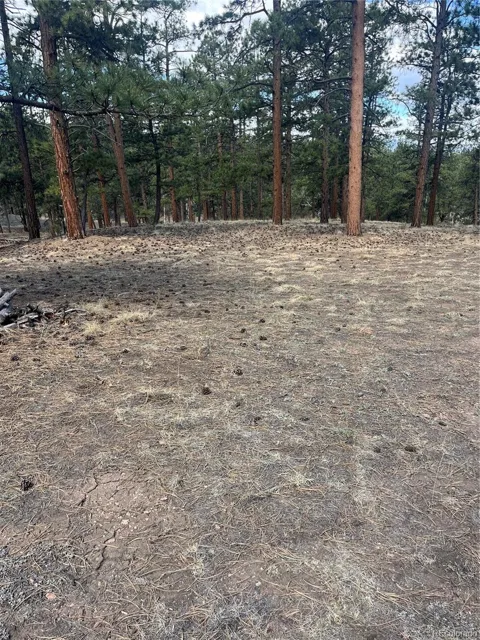 185 Sioux Trail