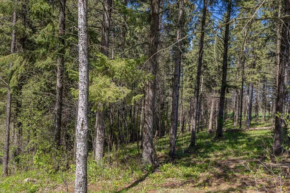 S3565 Rooster Ridge Lane Fountain City, WI 54629