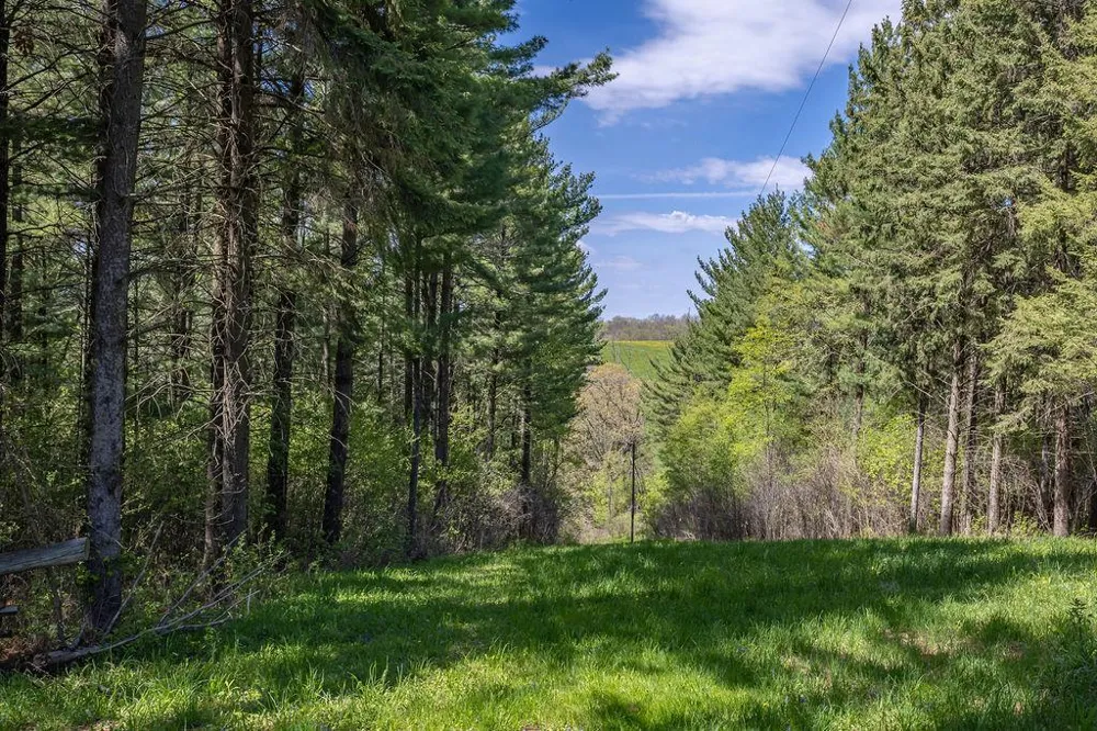 S3565 Rooster Ridge Lane Fountain City, WI 54629