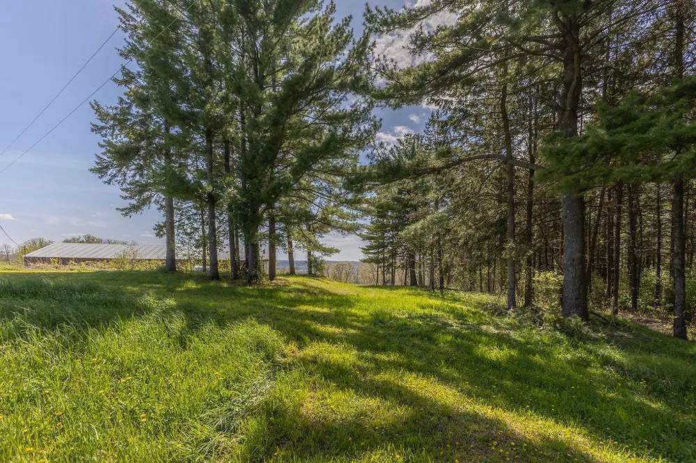 S3565 Rooster Ridge Lane Fountain City, WI 54629
