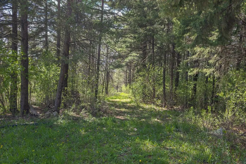 S3565 Rooster Ridge Lane Fountain City, WI 54629