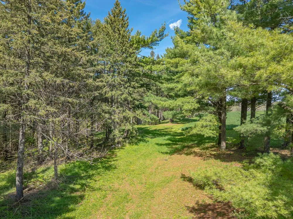 S3565 Rooster Ridge Lane Fountain City, WI 54629