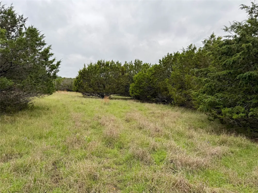 Virginia Avenue Copperas Cove, TX 76522