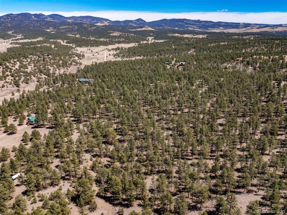 185 Sioux Trail Westcliffe, CO 81252