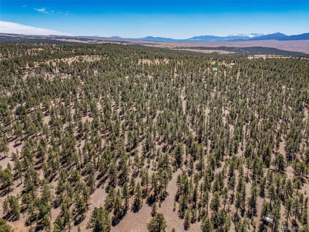185 Sioux Trail Westcliffe, CO 81252