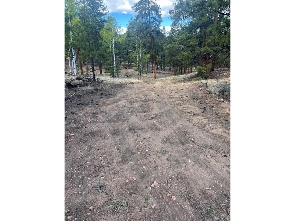 185 Sioux Trail Westcliffe, CO 81252