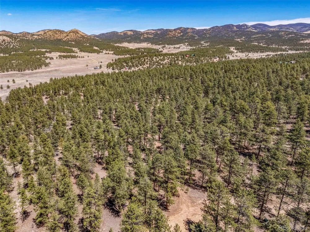 185 Sioux Trail Westcliffe, CO 81252