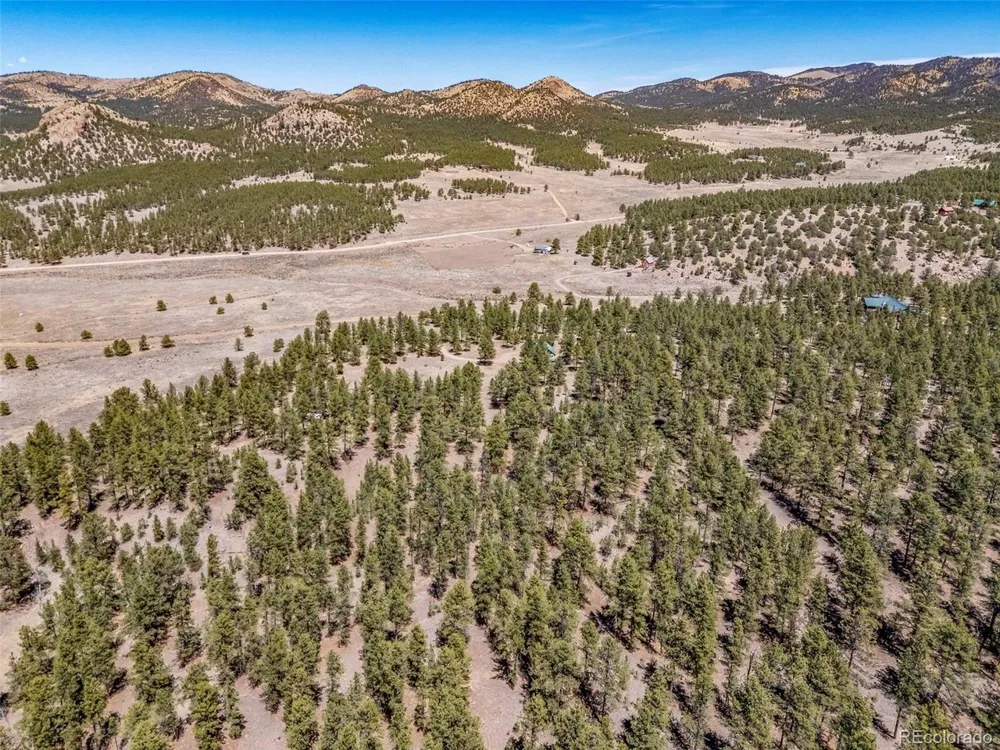185 Sioux Trail Westcliffe, CO 81252