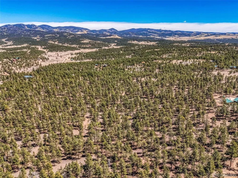 185 Sioux Trail Westcliffe, CO 81252