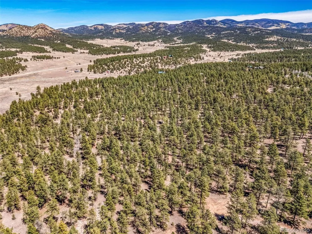 185 Sioux Trail Westcliffe, CO 81252