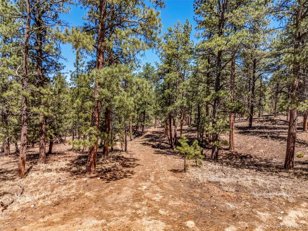 185 Sioux Trail Westcliffe, CO 81252