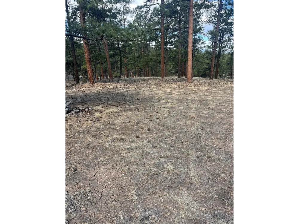 185 Sioux Trail Westcliffe, CO 81252