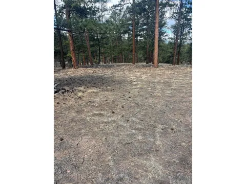 185 Sioux Trail