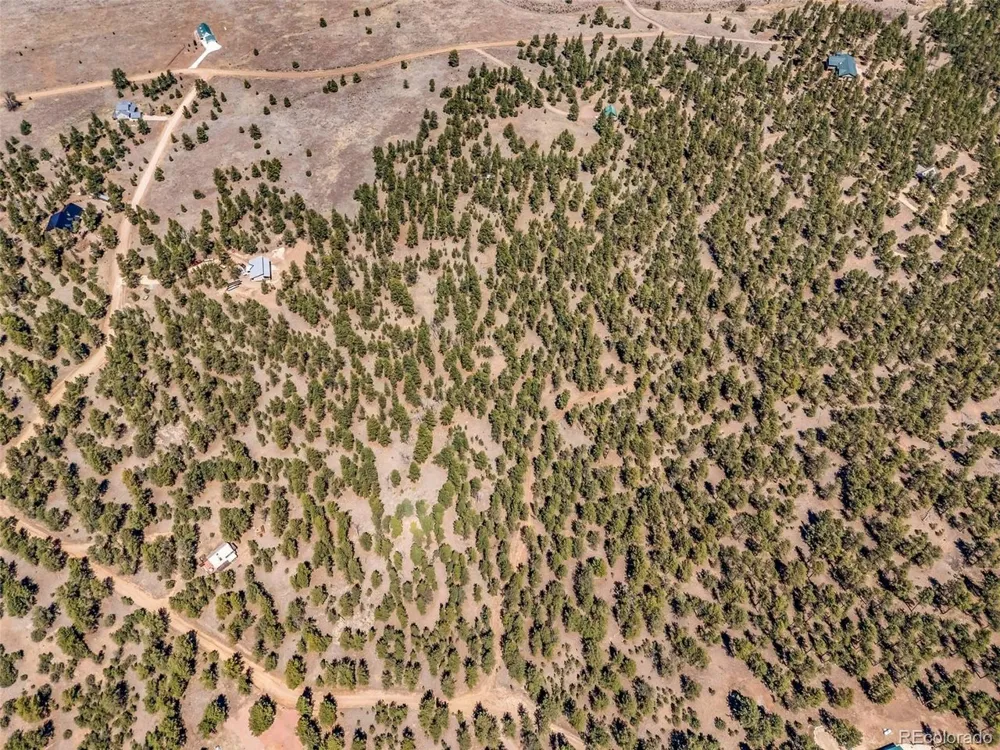 185 Sioux Trail Westcliffe, CO 81252