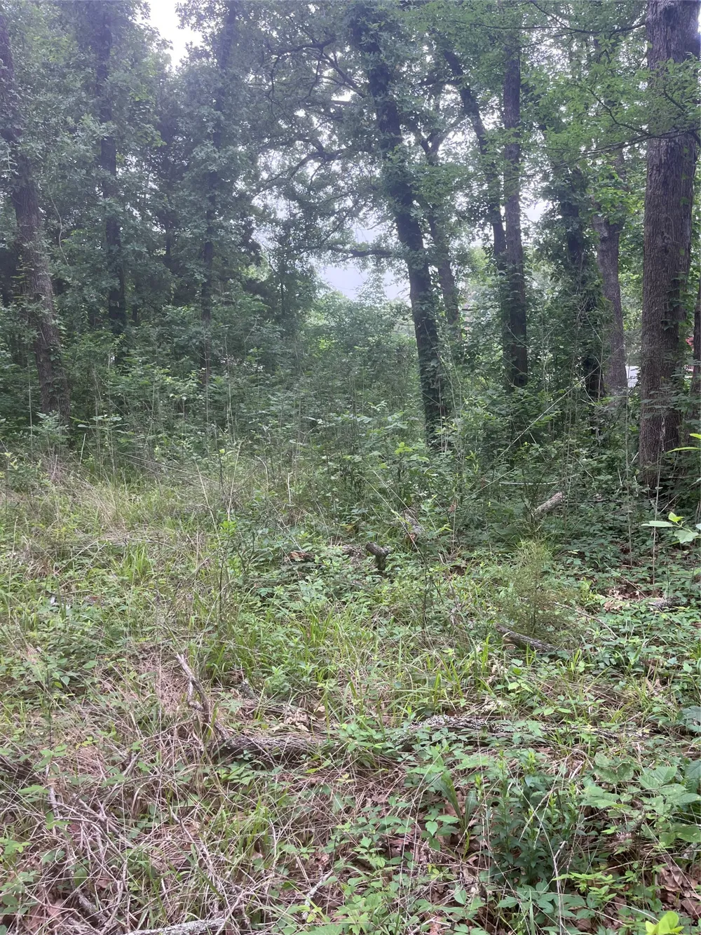 106 Red Bluff Loop Mabank, TX 75156