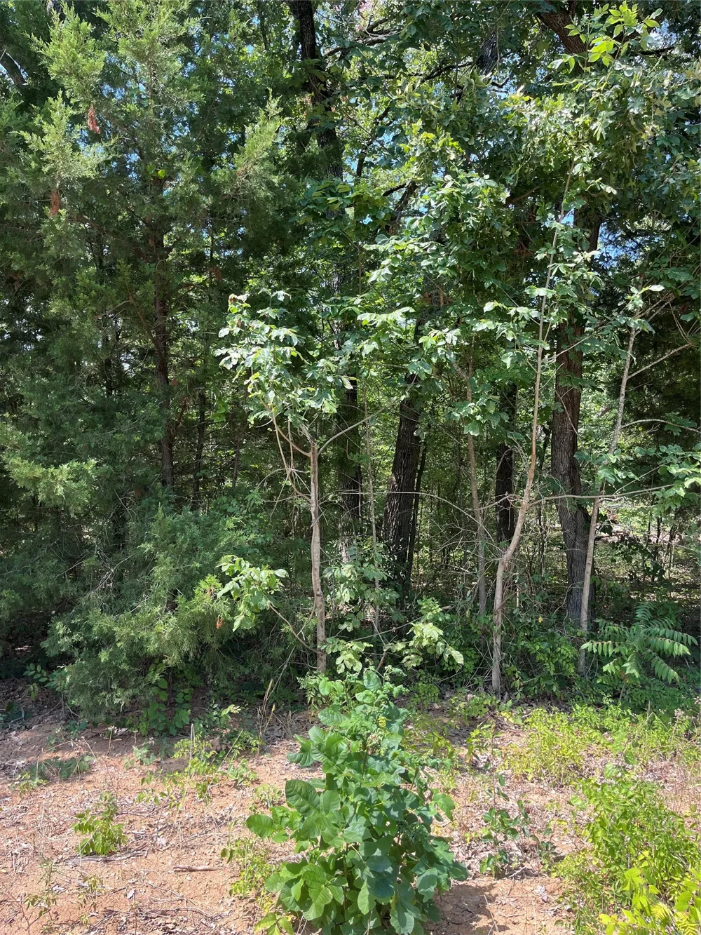 106 Red Bluff Loop Mabank, TX 75156