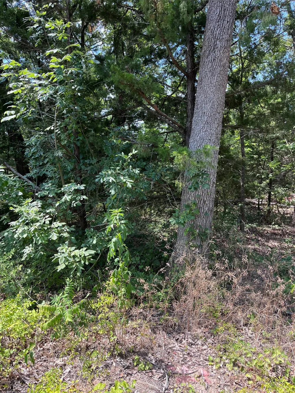 106 Red Bluff Loop Mabank, TX 75156