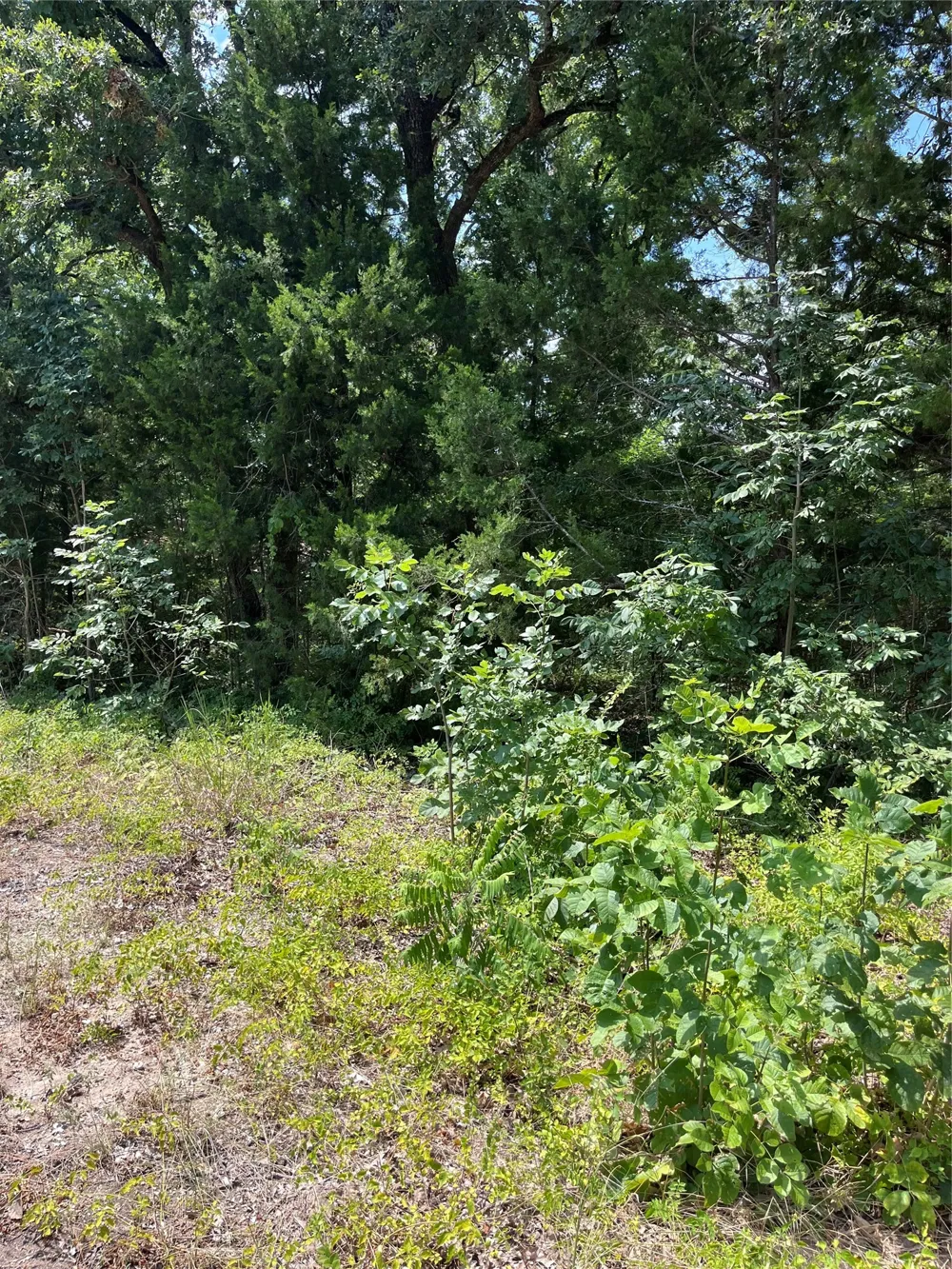106 Red Bluff Loop Mabank, TX 75156