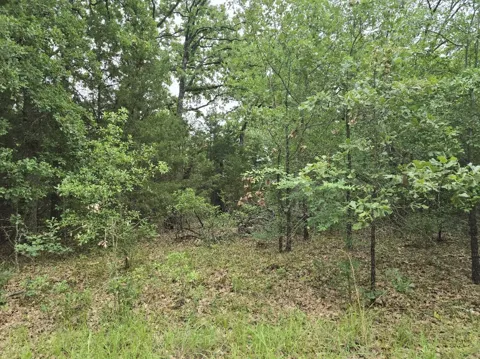 Kickapoo Trail
