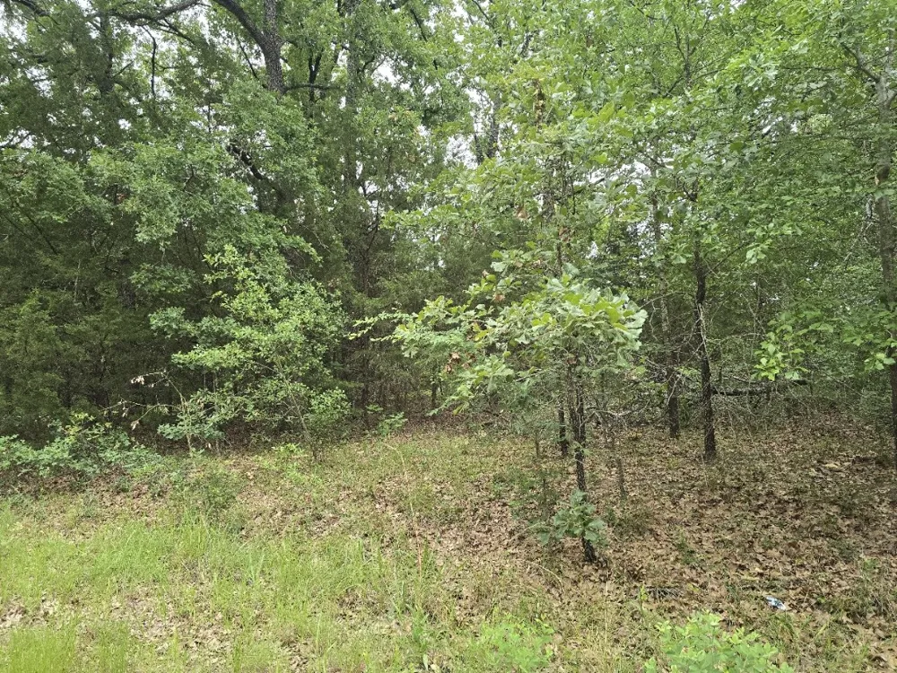 Kickapoo Trail Mabank, TX 75156