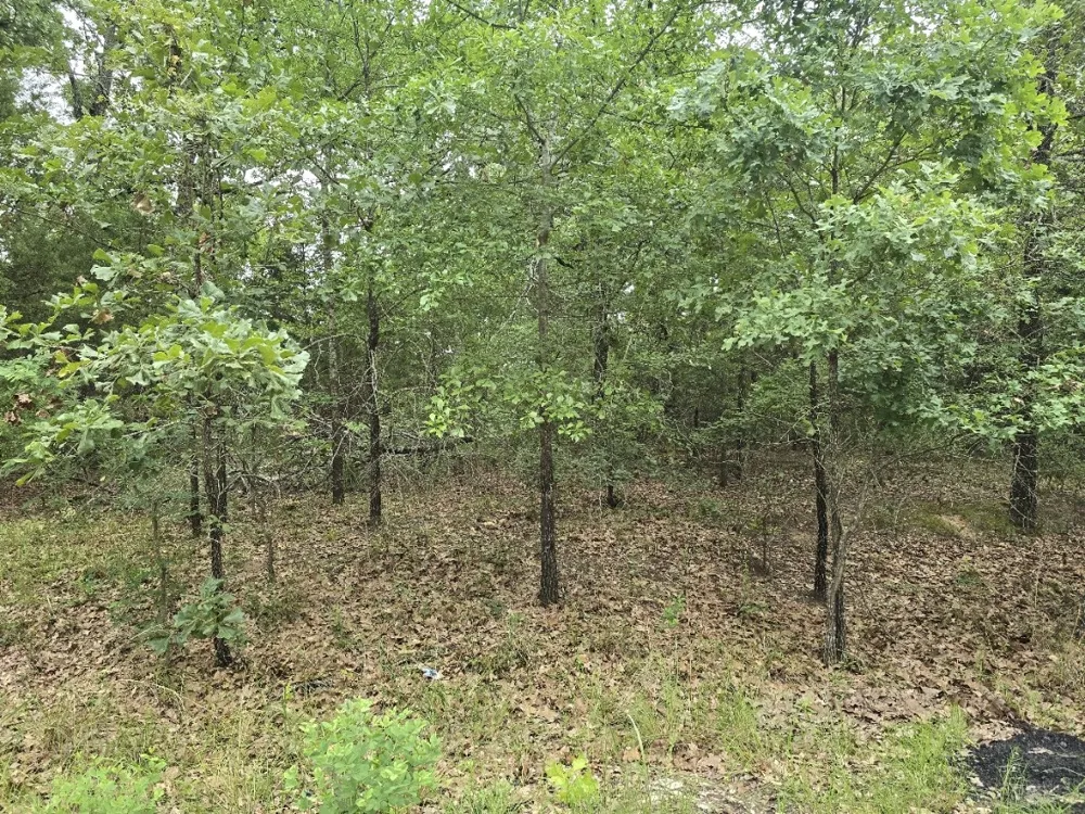 Kickapoo Trail Mabank, TX 75156