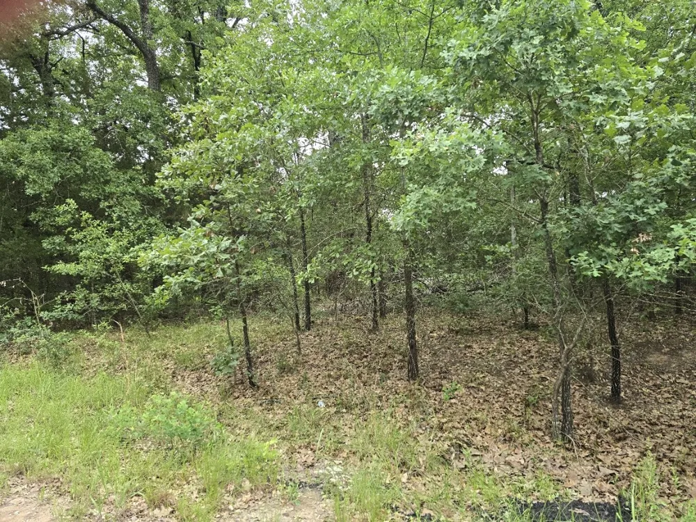 Kickapoo Trail Mabank, TX 75156