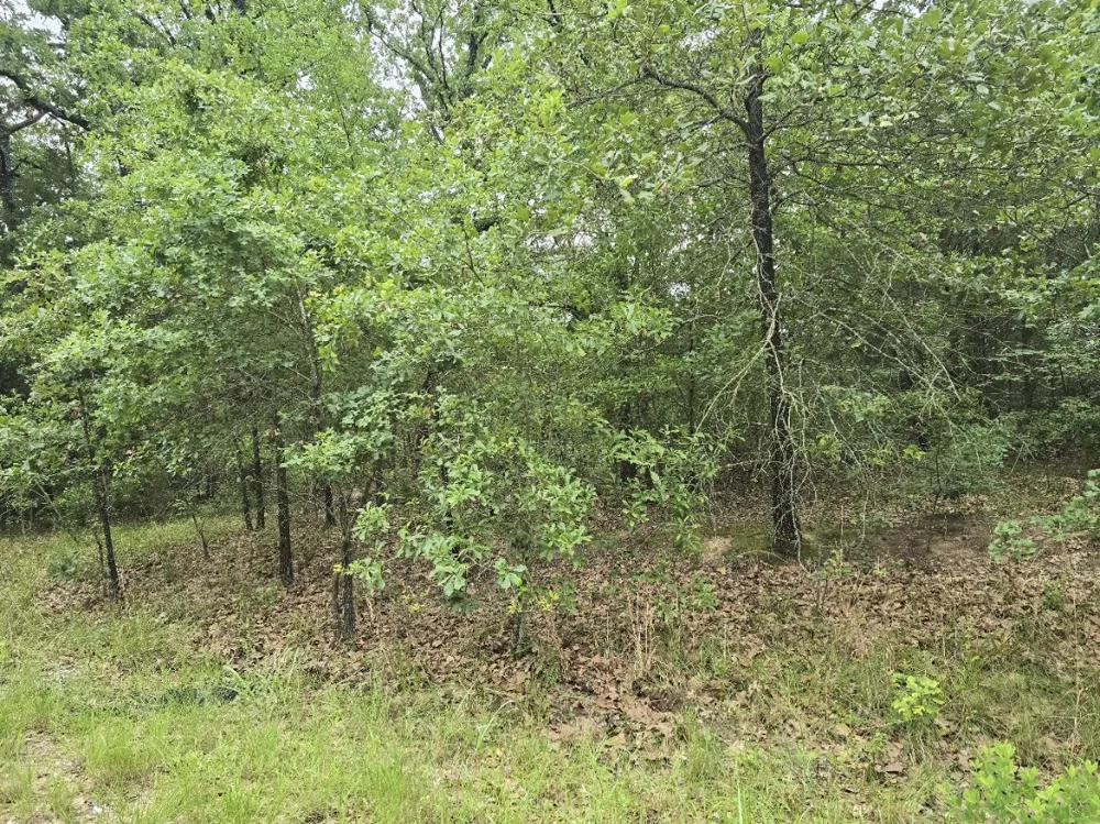 Kickapoo Trail Mabank, TX 75156