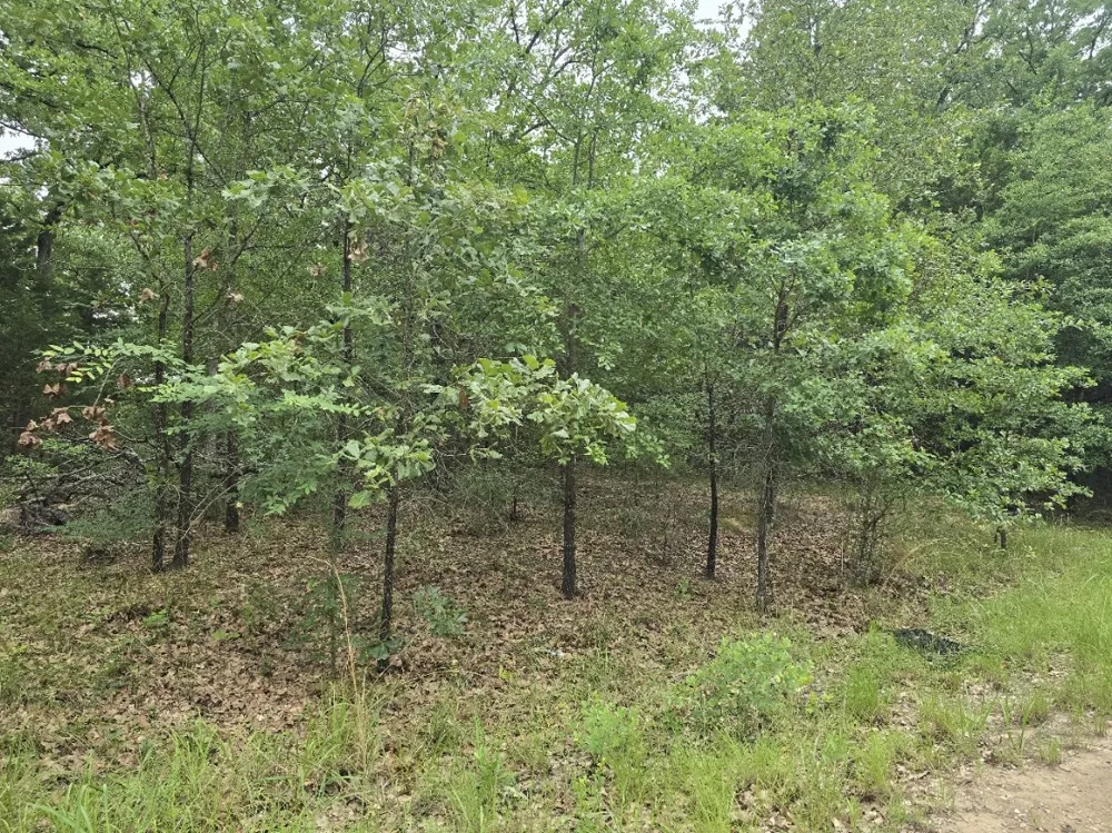 Kickapoo Trail Mabank, TX 75156