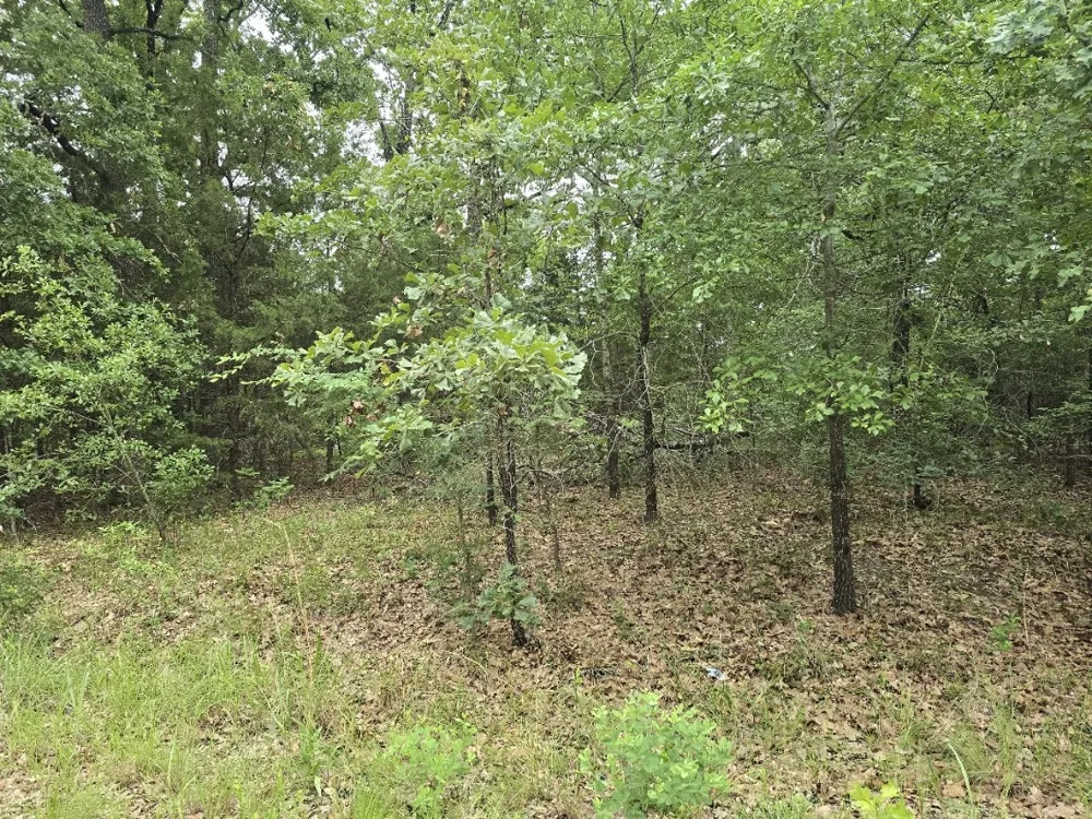 Kickapoo Trail Mabank, TX 75156