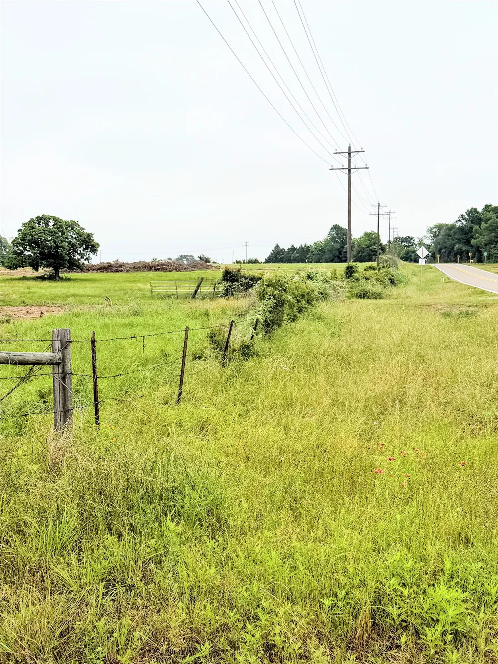 35 FM 1512 Donie, TX 75838
