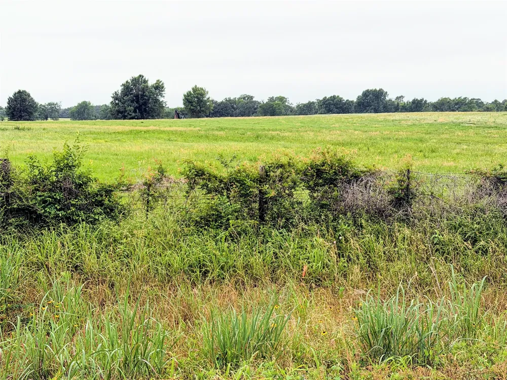 35 FM 1512 Donie, TX 75838