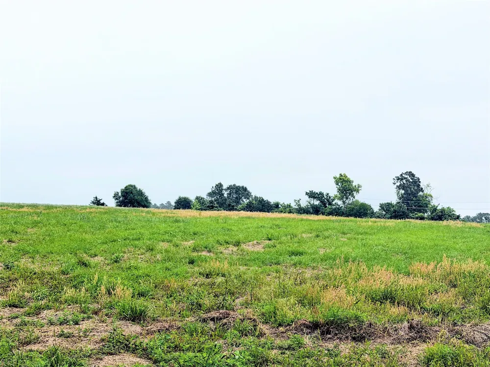 35 FM 1512 Donie, TX 75838