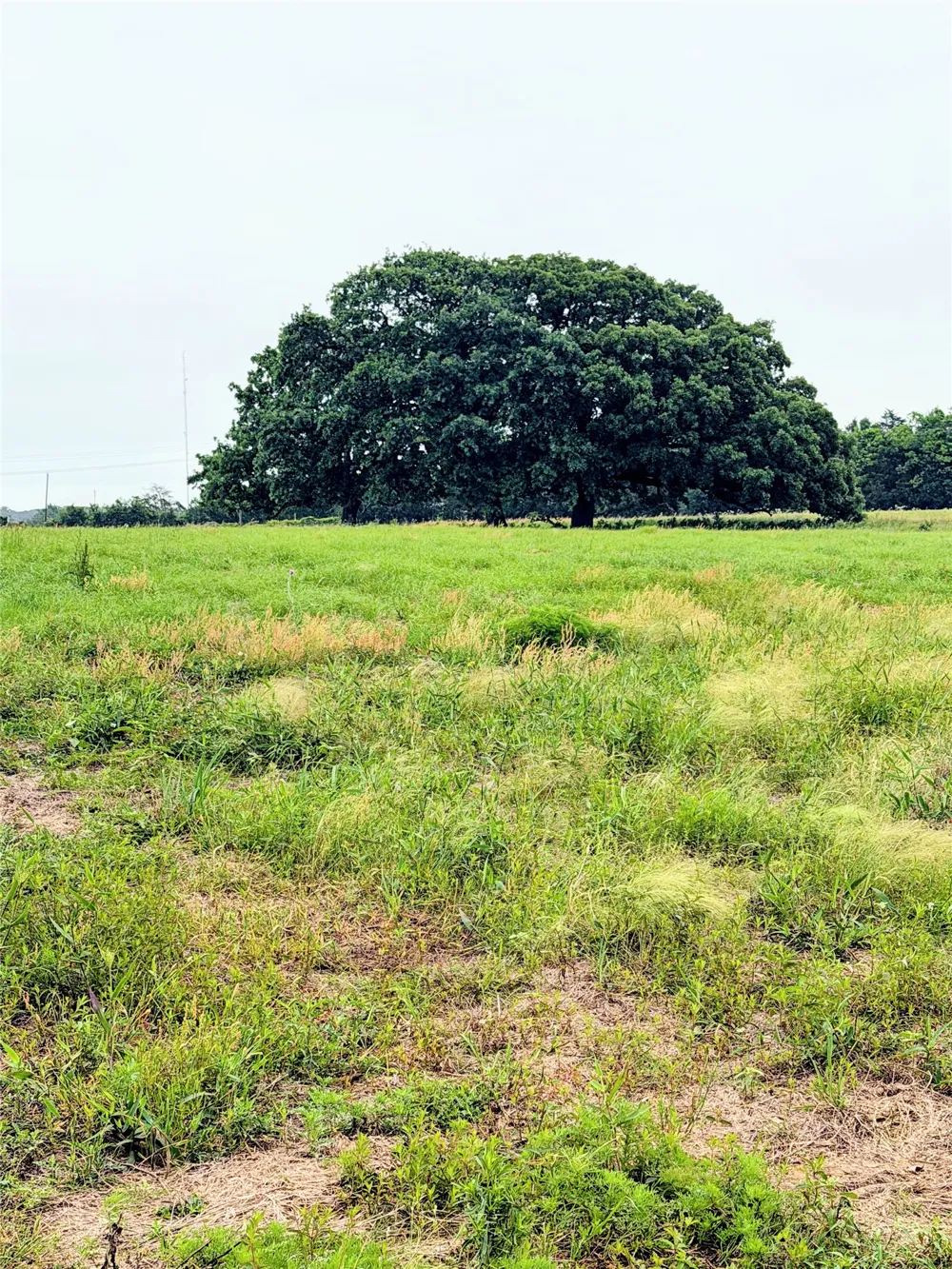 35 FM 1512 Donie, TX 75838