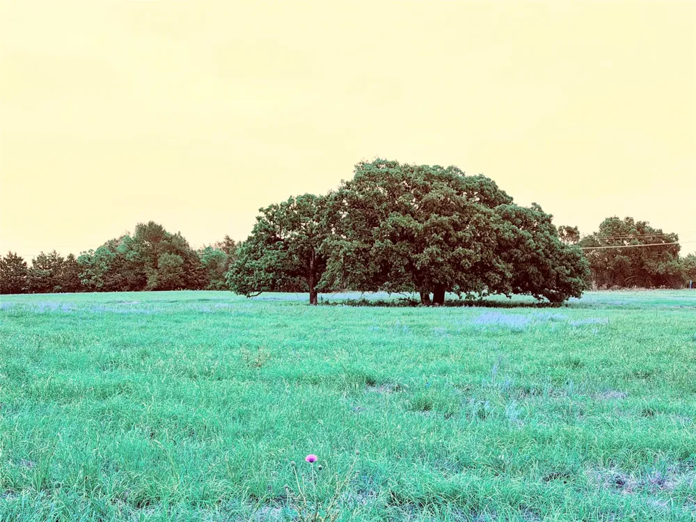 35 FM 1512 Donie, TX 75838