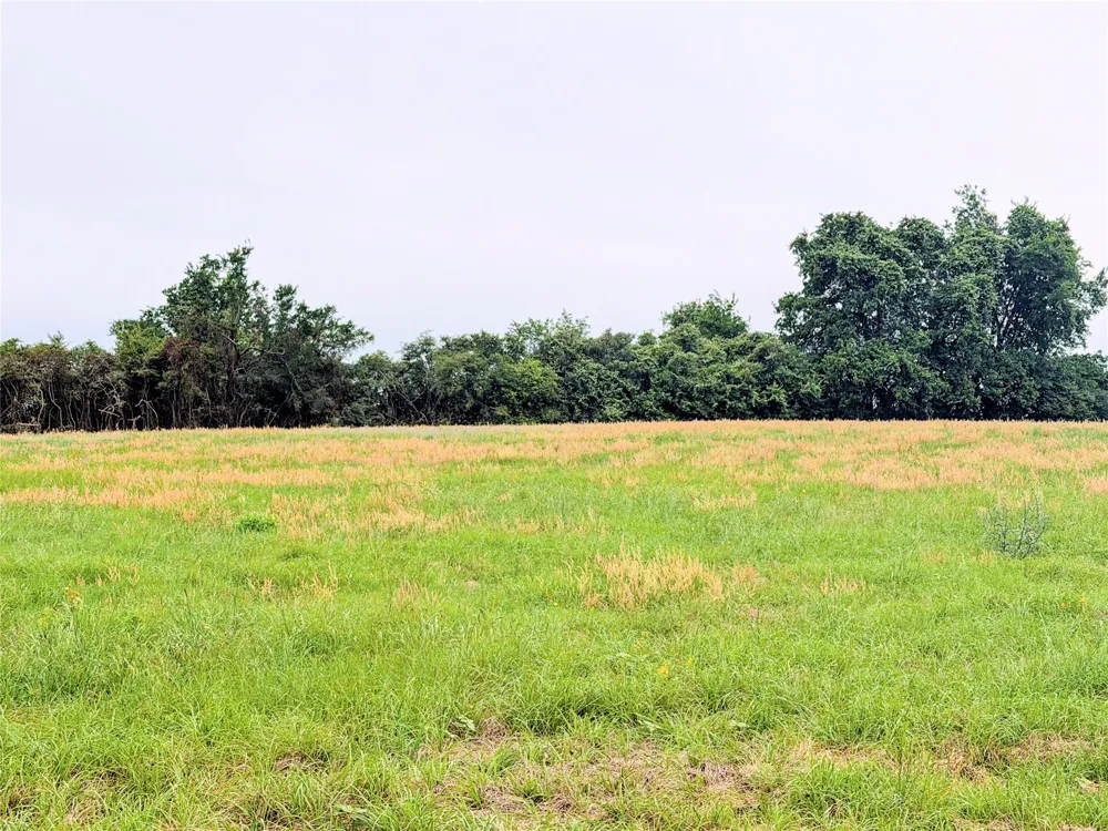 35 FM 1512 Donie, TX 75838