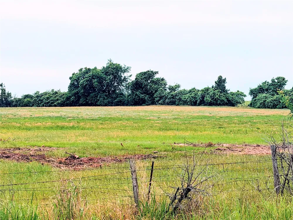 35 FM 1512 Donie, TX 75838