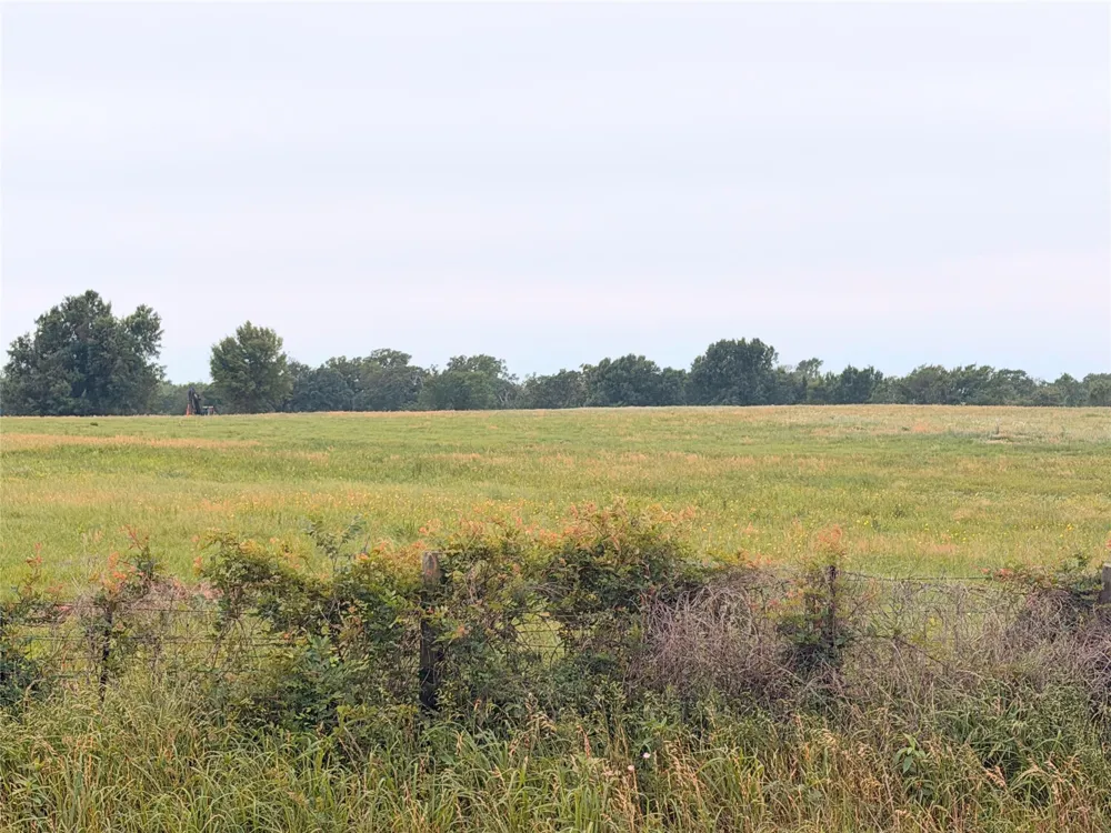 35 FM 1512 Donie, TX 75838