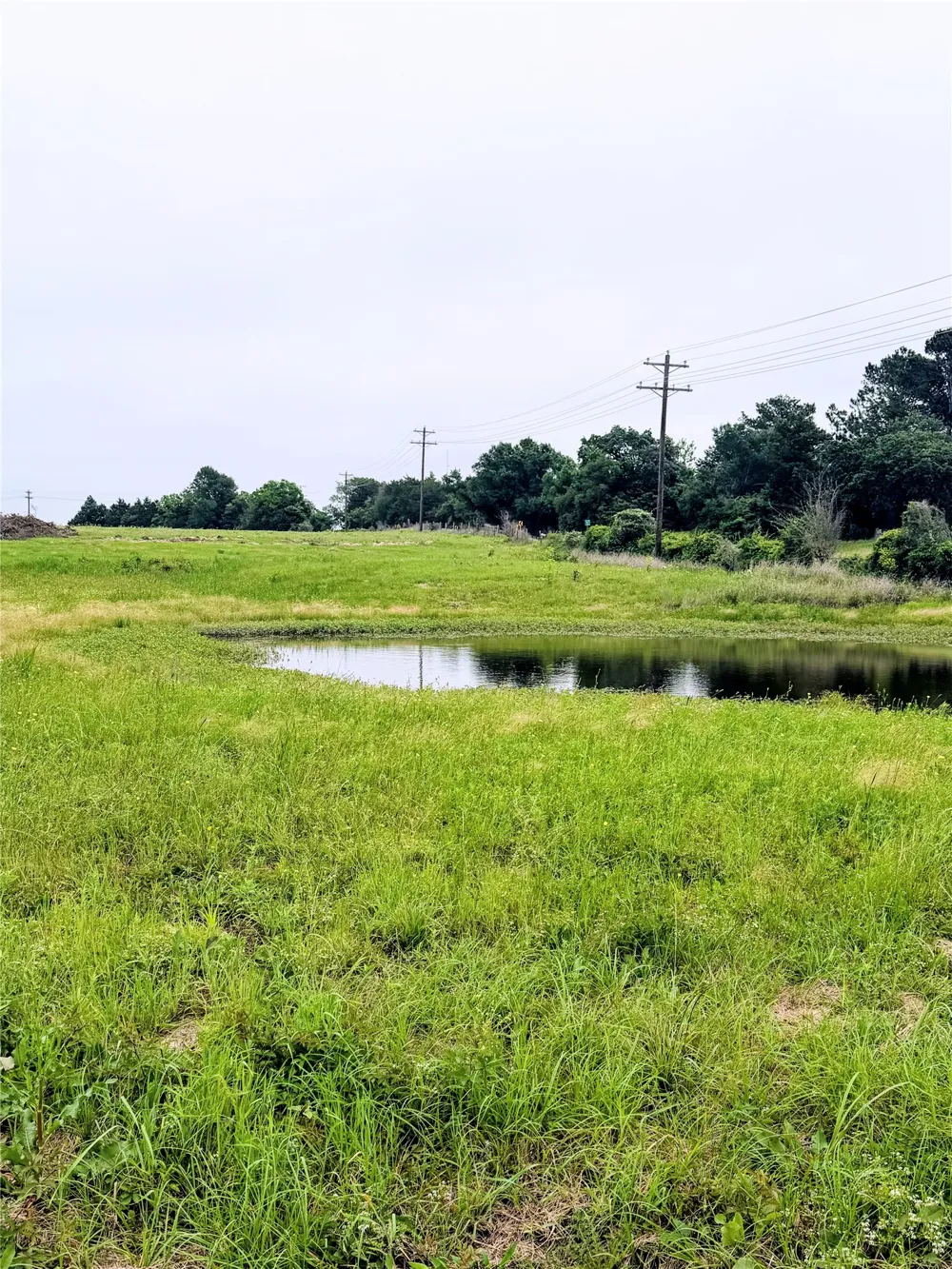 35 FM 1512 Donie, TX 75838
