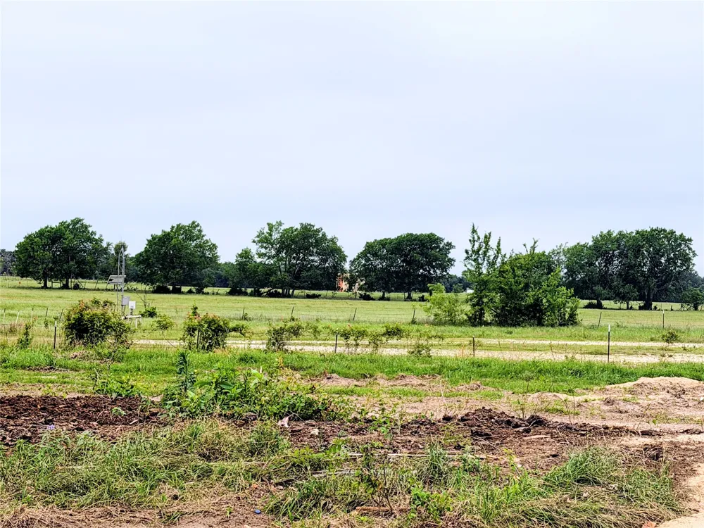 35 FM 1512 Donie, TX 75838