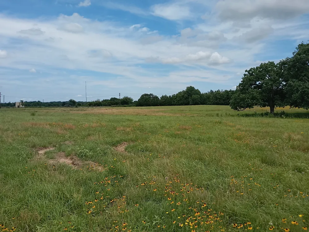 35 FM 1512 Donie, TX 75838