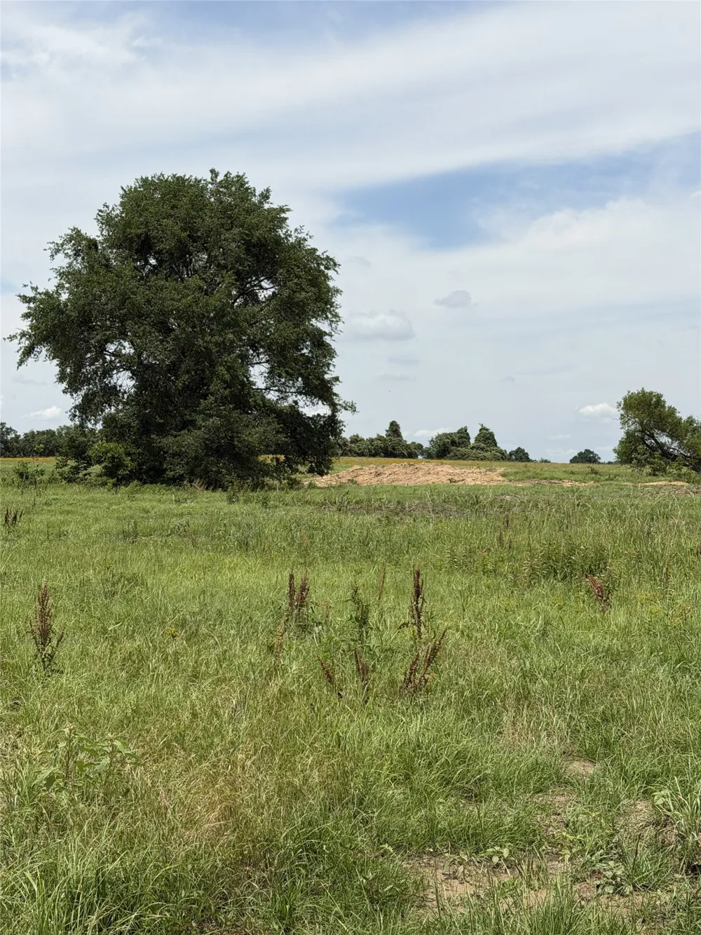 35 FM 1512 Donie, TX 75838