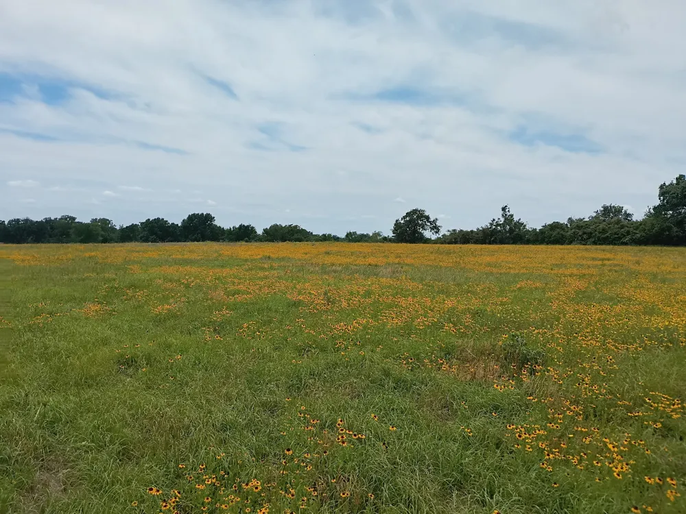 35 FM 1512 Donie, TX 75838