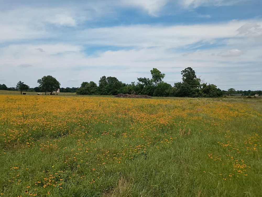 35 FM 1512 Donie, TX 75838