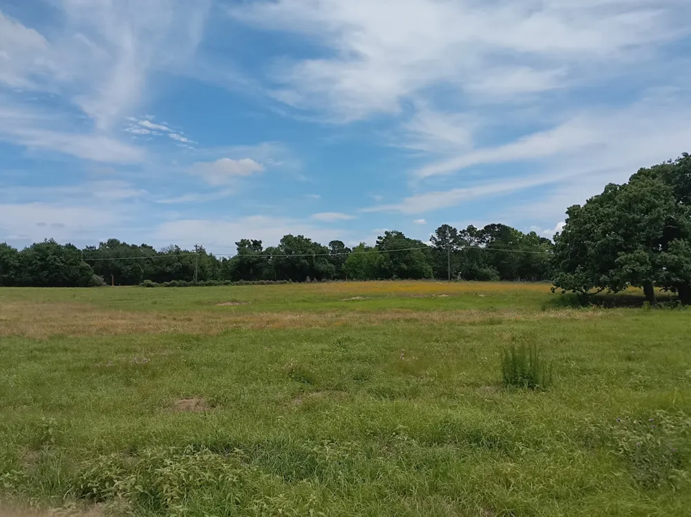 35 FM 1512 Donie, TX 75838